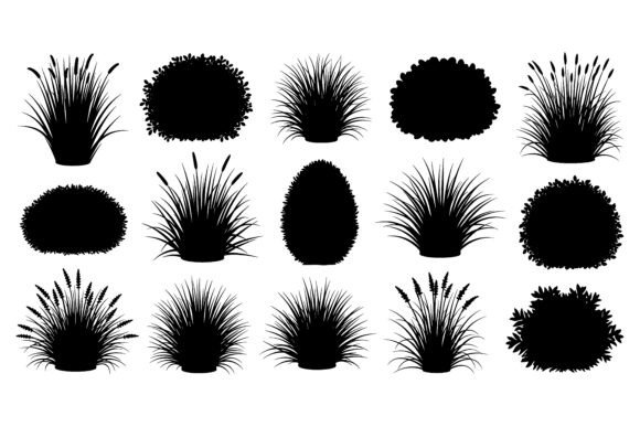 Grass and Plant Silhouettes for Creative Design
